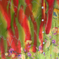 Silk Shirt O/S Col 03